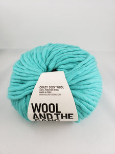 Evergreen Toque - Knitting Kits - WATG Crazy Sexy Wool