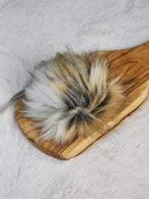 The SAND DOLLAR pom pom