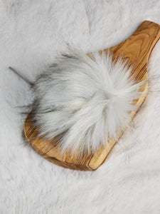 The SAND DOLLAR pom pom