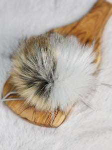 The SAND DOLLAR pom pom